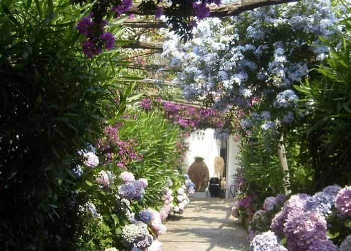 Πανσιόν Marunnella 3*