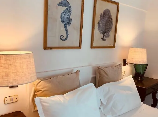 בית הארחה Marunnella קאפרי